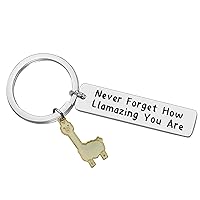 Baipilu Llama Keychain Llama Gift Never Forget How Llamazing You are Keychain for Women Alpaca Gifts Animal Lover Gift Inspiring Inspired Motivational Keychains for Women,birthday gift for friends
