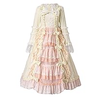 YSLMNOR Marie Antoinette Costume for Women 18th Century Dress Halloween Cosplay Court Dresses Baroque Victorian Ball Gown