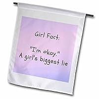 3dRose Funny Text of Girl fact Im okay,A girls biggest lie - Flags (fl-385048-1)