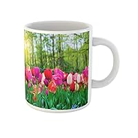Coffee Mug Red Colorful Tulip Flowers in Sunny Green Spring Park 11 Oz Ceramic Tea Cup Mugs Best Gift Or Souvenir For Family Friends Coworkers