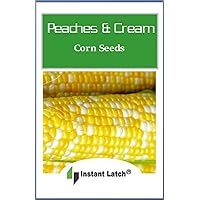 25 Peaches & Cream Corn Seeds | Hybrid | Instant Latch Garden Seeds