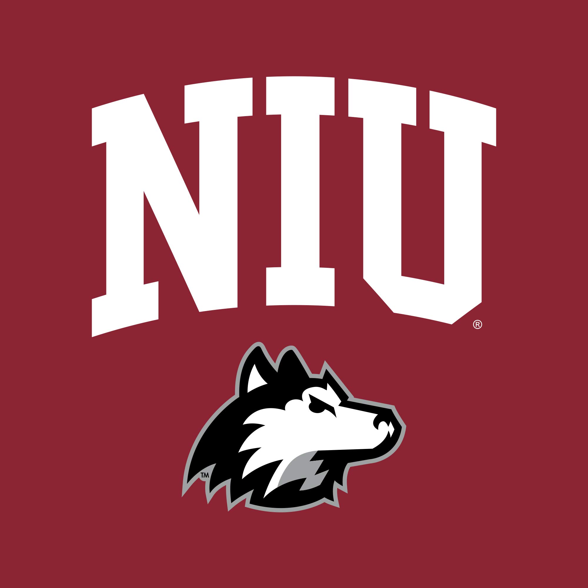 NCAA Arch Logo, Team Color T Shirt, College, University