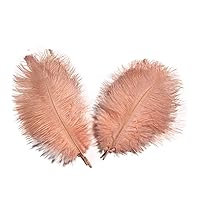 Lampu Ostrich Feathers 8-10 inch/20-25cm for Wedding Centerpieces Home Decoration Pack of 10 （Shrimp Powder ）