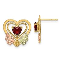 10k With 12k Accents Black Hills Gold Garnet Love Heart Post Earrings Jewelry Gifts for Women