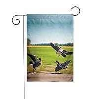 Flying Wild Duck Print Double Sided Printed Garden Flag 12x18 In,Small Welcome Courtyard Decoration,For Outdoor Vacations In All Seasons