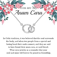 TGBJE Soul Sisters Gift You Are My Anam Cara Necklace Soulmate Gift Best Friend Gift Unbiological Sister Gift