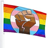 Gay Trans Pride BLM Fist Flag Flag 3x5 IN-Community Gay Pride Lesbian Transgender Bisexual Flags Banner UV Fade Resistant for Indoor Outdoor