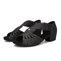 Low Heel Dance Shoes for Women Salsa Batchata Social Beginners Practice Wedding Dance Shoes 1.5