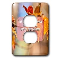 3dRose Alexis Design - Religion Christian Proverbs - The fruit of the righteous is a tree of life and he that winneth soul - 2 plug outlet cover (lsp_311065_6)