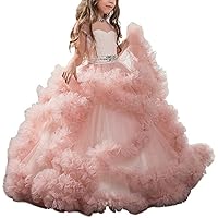 Stunning V-Back Luxury Pageant Tulle Ball Gowns First Communion Dress for Girls 2-12 Year Old