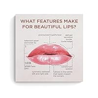 Posters Beauty Salon Poster Lip Anatomy Art Poster Plastic Surgeon Gift Poster Canvas Art Poster Poster for Room Aesthetic Posters & Prints on Canvas Wall Art Poster for Room 20x20inch(50x50cm)