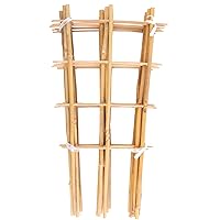 10 Pack Bamboo Trellis for Climbing Plants 16