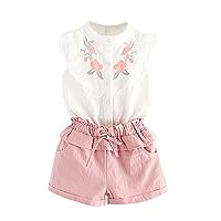Boy's Suit Jacket Kids Toddler Solid Girls T-Shirt Set Tops+Lacing Ruffle Embroidery Outfits for Boys (Pink, 5-6 Years)