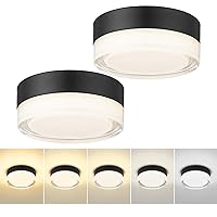 zeyu 2 Pack Dimmable LED Ceiling Light Fixtures, Small 14W Semi Flush Mount Light Fixtures with Clear White Glass Shade, 5CCT Adjustable Ceiling Lights, Black Finish, ZTH99F-LED-2PK BK