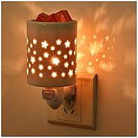 Plug in Wax Warmer,Wax melt Warmer,Candle Wax Burner, Candle Warmer,Candle Melter,for Home Office Décor and Gifts for Holiday（ White Porcelain Star Design）