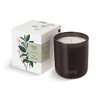 Sprig by Kohler Relax Aromatherapy Candle with Chamomile and Green Tea, 100% Natural Soy-Coconut Wax, Soothing and Tranquil Scent, Gift for Holidays, 8 oz
