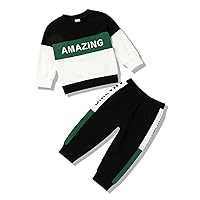 Toddler Baby Boy Clothes Letter Long Sleeve Tops Sweatshirt Pants Set Boy Fall Winter Outfit
