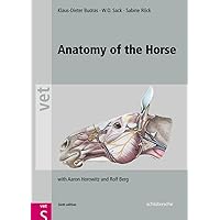 Anatomy of the Horse Anatomy of the Horse Hardcover