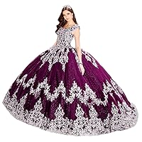 Women's Princess Lace Applique Quinceanera Dress Tulle Sweet 16 Ball Gown Dress