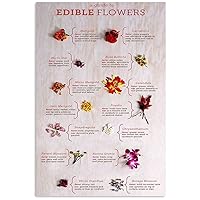 Flower Knowledge Metal Sign Vintage Garden Decor A Guide To Edible Flower Tin Poster Home Kitchen Club Wall Decoration Plaque 12x16 inchses