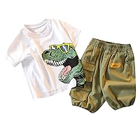 Toddler Baby Boys Clothes Shorts Set Cartoon Dinosaur Print Shirt Short Sleeve Tops Solid Shorts Infant Summer Cute Outfits