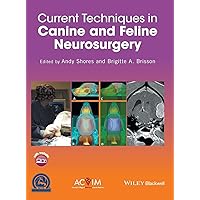 Current Techniques in Canine and Feline Neurosurgery