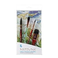  Princeton Real Value, Series 9100, Paint Brush Sets for  Acrylic, Oil & Watercolor Painting, Syn-Gold Taklon (Rnd 1, 6, 12 Liner 2,  ANG Shader 1/2, Wash 3/4)