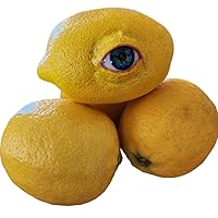 Realistic Life Sized Freaky Fruit All Seeing Lemon, Halloween Prop, Horror Prop, Halloween Decoration