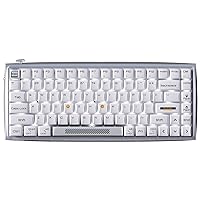 Durgod K710 Wireless Mechanical Keyboard, 84-Key 75% Layout, Connect up to 3 Devices via Bluetooth/2.4G Wireless for Mac Windows Linux, LED Backlit & N-Key Rollover, Tactile Brown Switch, Silver White