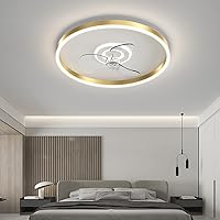 Ceiling Fans, Ceiling Fan with Light and Remote Control Mute Fan Lighting 3 Speeds with Timer Bedroom Led Ultra-Thin Fan Ceiling Light Modern Living Room Quiet Ceiling Fan Light/Gold