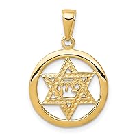 10 kt Yellow Gold Jewish Chi in Star of David Charm 25 x 17 mm