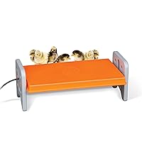 Thermo Chicken Brooder, Brooder Heater for Chicks, Chick Brooder Plate, Safe Alternative to Heat Lamp for Chickens - Gray/Orange Large 11.5 X 20 X 8 Inches