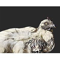 Fertile Hatching Chicken Eggs Zombie Chickens 1/2 Dozen