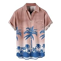 Men's Summer Shirts Ethnic Short Sleeve Casual Printing Hawaiian Shirt Blouse T-Shirt Button Down Shirts, XL-3XL