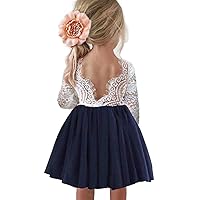Girl Toddler Full-Length Straight Tulle Tutu Lace Back Party Flower Girl Dress
