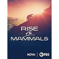 Rise of the Mammals