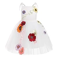 IMEKIS Toddler Girl Birthday Princess Dress Flower Embroidery Tulle Party Wedding Dresses Cake Smash Photo Shoot 1-6T