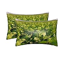 Satin Pillowcase for Hair and Skin, Soybean Field Silk Pillow Cases Set of 2 Queen Size 20x30 Inches, Luxury and Soft Satin Pillow Covers with Envelope Closure