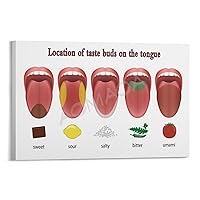 MOJDI Location of Taste Buds on The Tongue Poster CHINESE MEDICINE Poster (3) Canvas Painting Posters And Prints Wall Art Pictures for Living Room Bedroom Decor 08x12inch(20x30cm) Frame-style