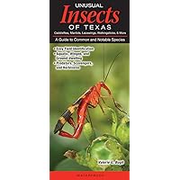 Unusual Insects of Texas Caddisflies, Mantides, Lacewings, Walkingsticks, & More