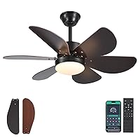 Ceiling Fans With Lights and Remote,36