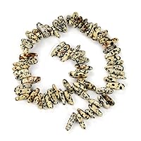 1 Strand Adabele Natural Dalmatian Jasper Healing Gemstone Smooth Teardrop Spike Point 7-23mm Loose Stick Drop Beads 15 Inch for Jewelry Craft Making GZ5-20