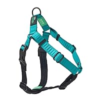 Better Walk No-Pull Dog Harness, Teal, Large – Stay in Control with Adjustable, Comfortable, Easy to Wear, & Durable Dog Harness – Ideal for Large Dogs 60-90lb