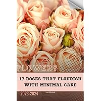 17 Roses That Flourish with Minimal Care: Become flowers expert