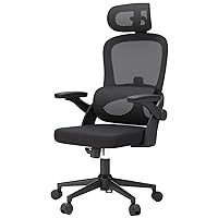 SIHOO M102C Ergonomic Mesh Office Chair, High Back Desk Chair with 3D Armrests, Up&Down Lumbar Support, Swivel Computer Task Chair with Adjustable 2D Headrest, Tilt Function Black