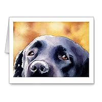 Black Lab - Set of 10 Note Cards With Envelopes