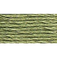 DMC 117-522 Six Stranded Cotton Embroidery Floss, Fern Green, 8.7-Yard