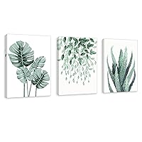 HZSYF Leaf Prints Tropical Wall Art - 3 Pieces Framed Canvas Botanical Artwork Pictures Aloe Paintings Modern Home Green Monstera Posters 12x16 Inches Still Life Foliage Artwork Bedroom Decor