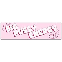 Big Pussy Energy Sticker Decal Notebook Car Laptop 11