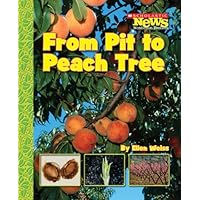 From Pit to Peach Tree (Scholastic News Nonfiction Readers: How Things Grow) From Pit to Peach Tree (Scholastic News Nonfiction Readers: How Things Grow) Paperback Library Binding